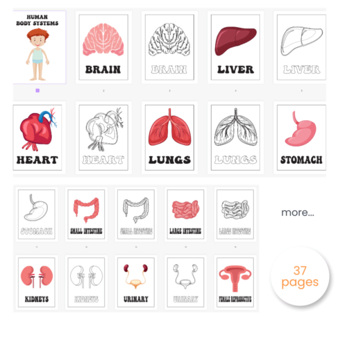 Parts of the human body to paint in pdf 1