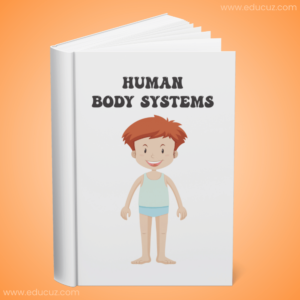 Parts of the human body to paint in pdf